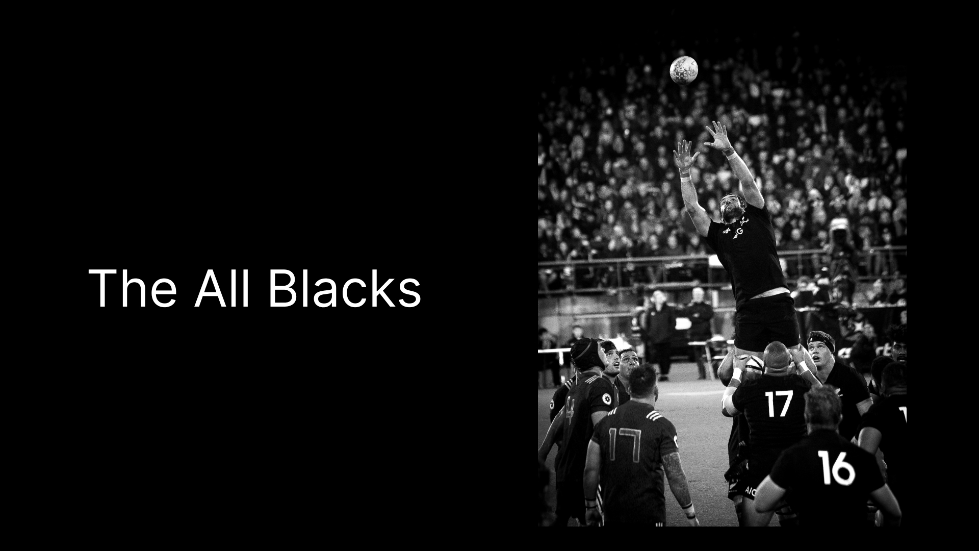 All Blacks team doing a lineout